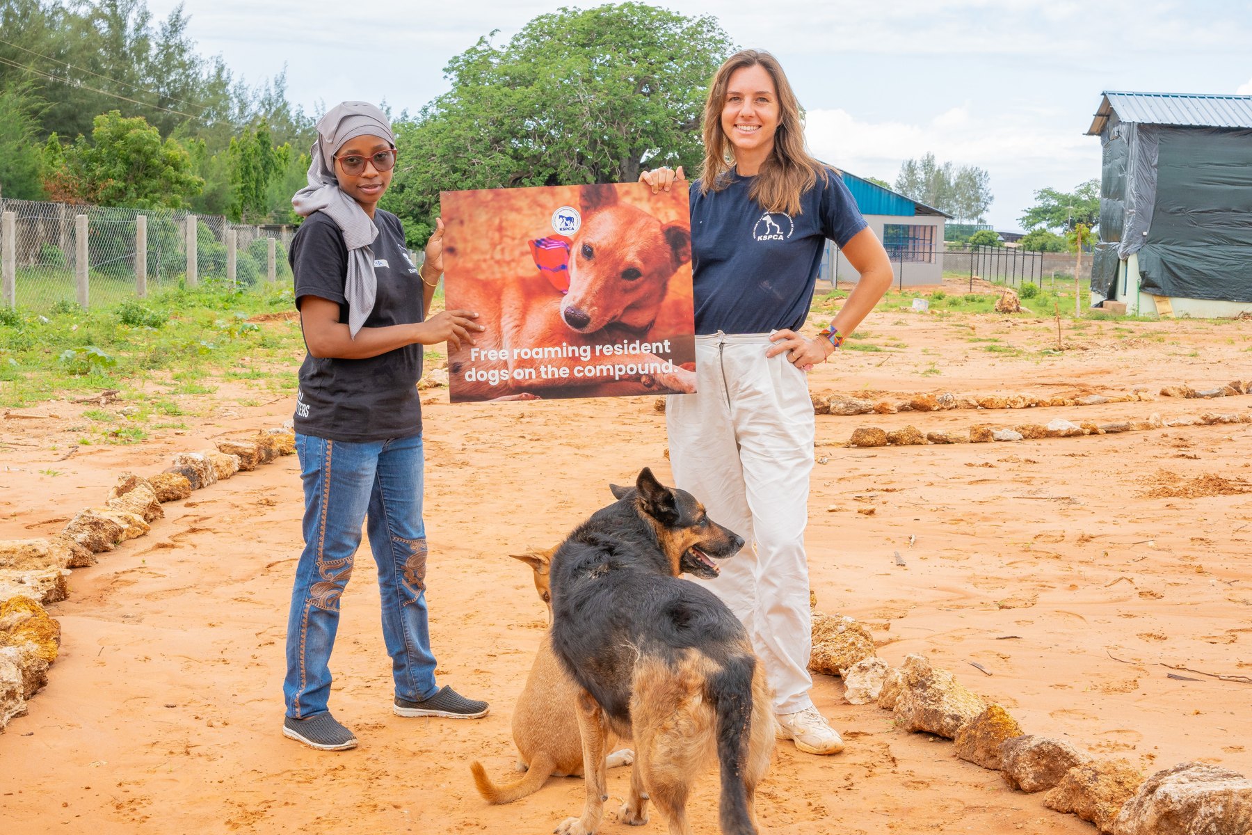 Zwei Frauen mit Hunden auf dem Gelände einer Tierschutzeinrichtung.